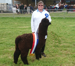 Show Team